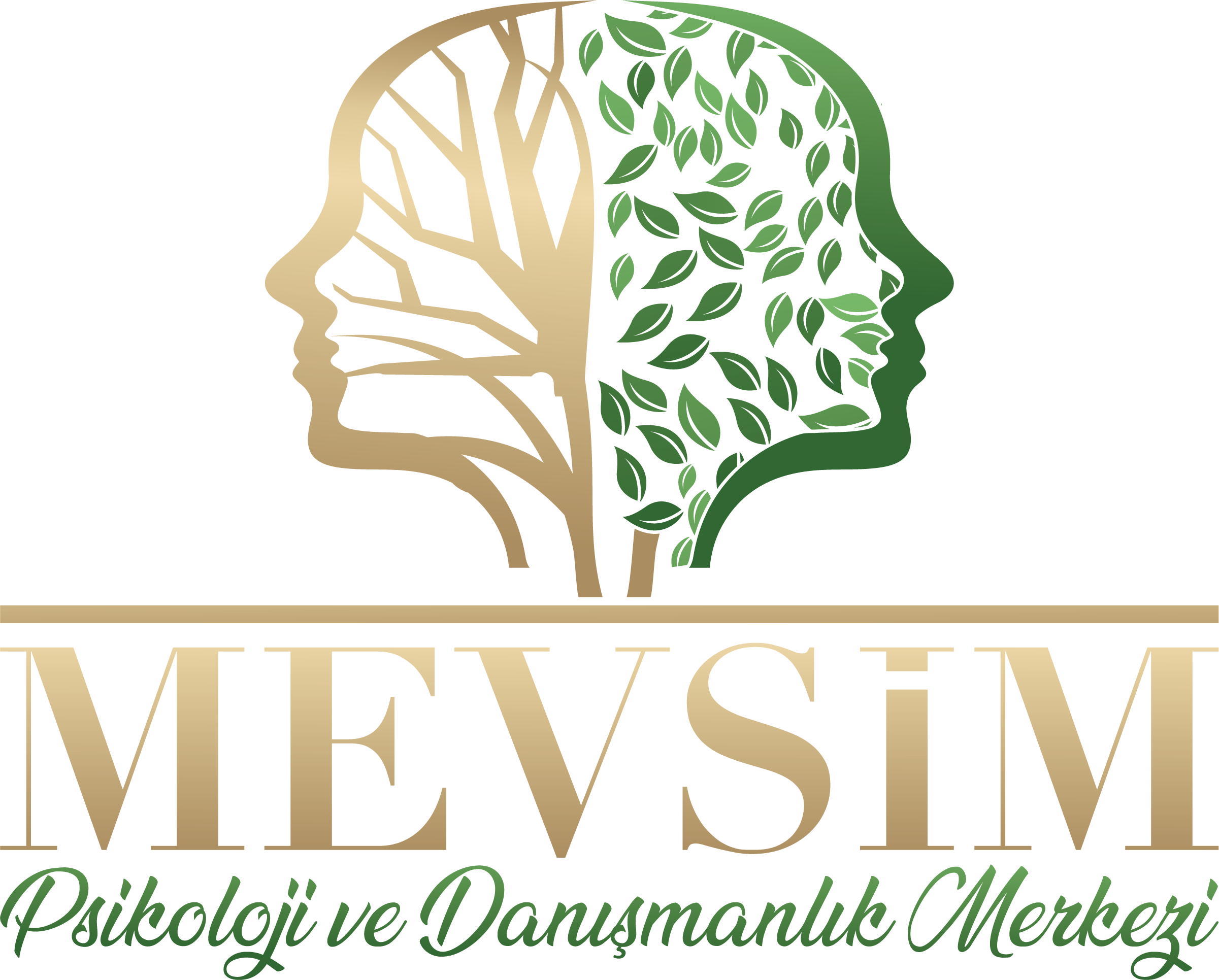 mevsim logo